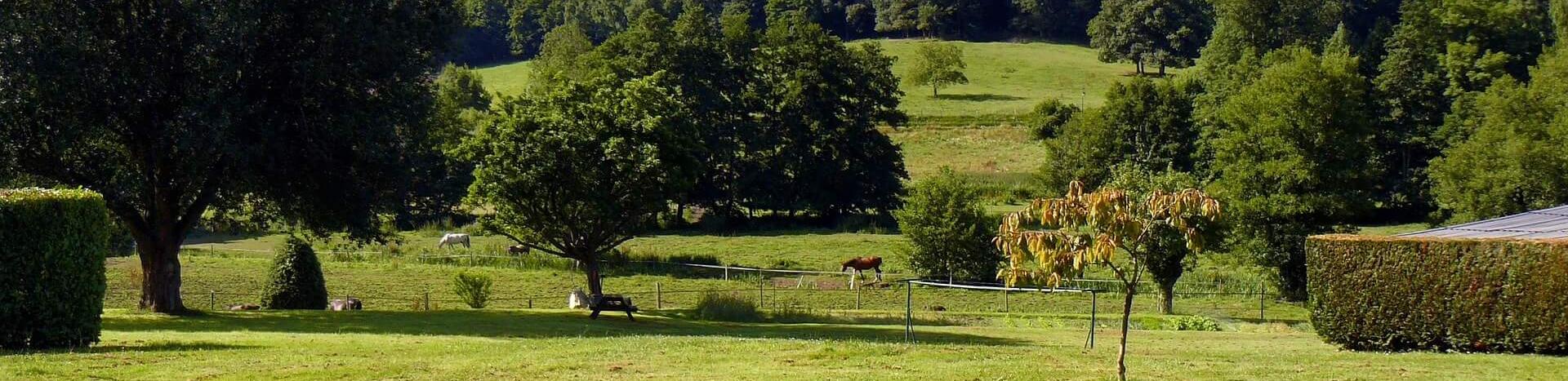 vue sur un paysage bucolique des yvelines