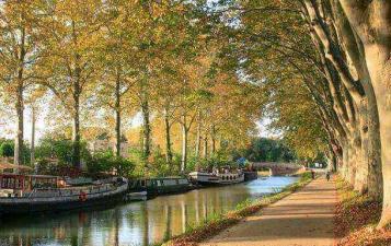 vue sur le canal du midi-habiter en occitanie