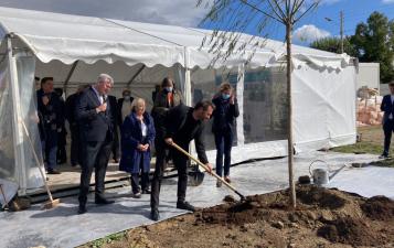 arbre plante a villepinte
