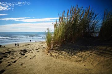 photo oyat-plage du nord