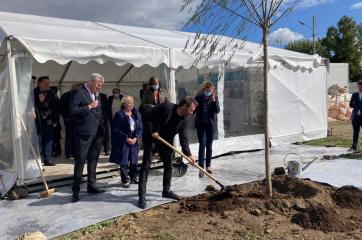 arbre plante a villepinte