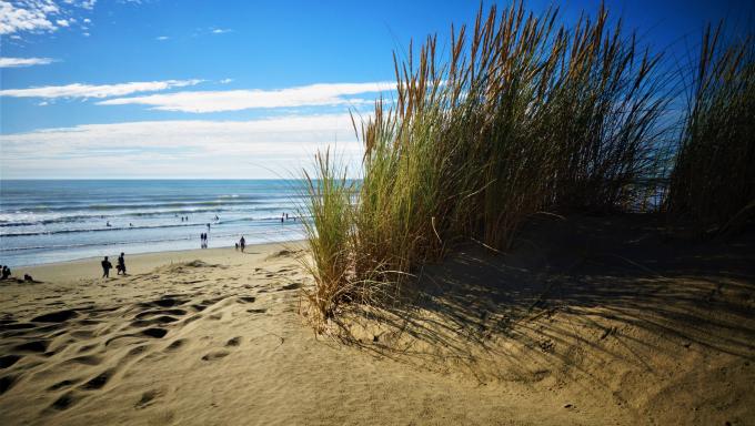 photo oyat-plage du nord