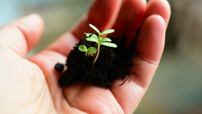 ecologie-re2020-developpement durable