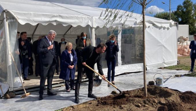 arbre plante a villepinte
